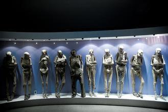 墨西哥木乃伊博物馆