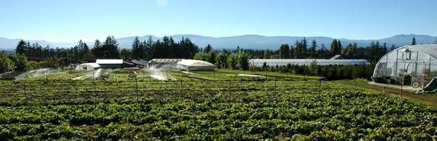 加拿大农业食品博物馆