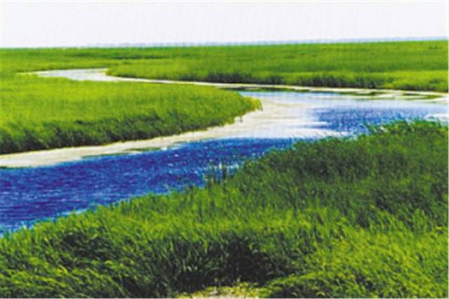 龙安桥湿地公园