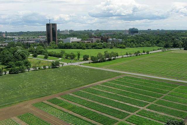 加拿大农业食品博物馆