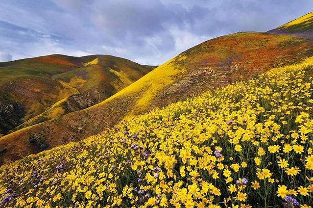 Carrizo Plain