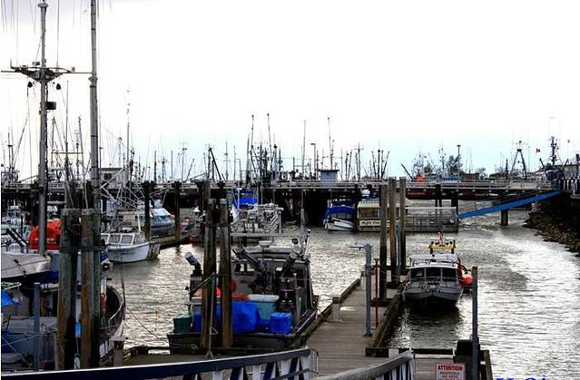 史蒂夫斯顿渔人码头