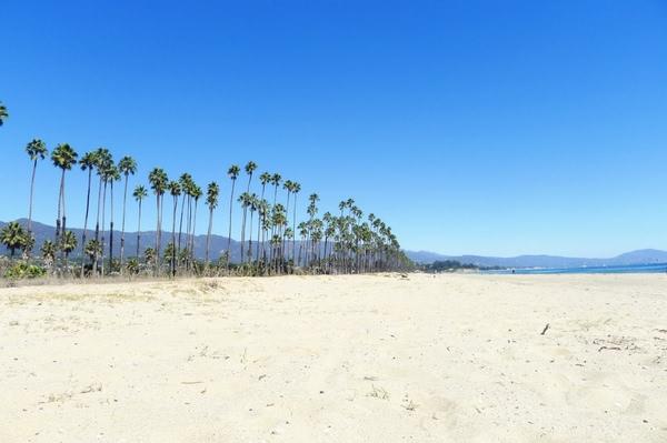圣芭芭拉海滩