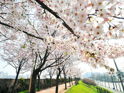 三清公园samcheong park