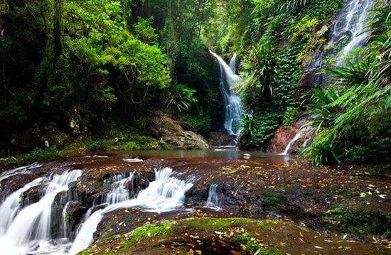 雷明顿国家公园