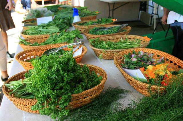 Northey Street Organic Markets