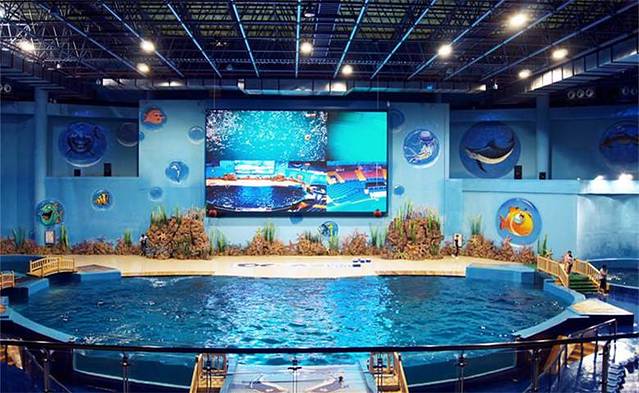 武夷传奇梦幻海乐园