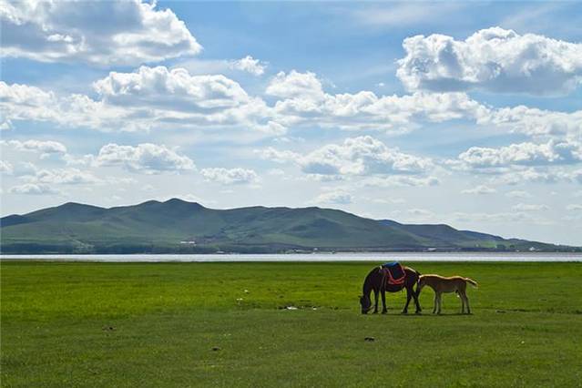 京北草原湿地公园