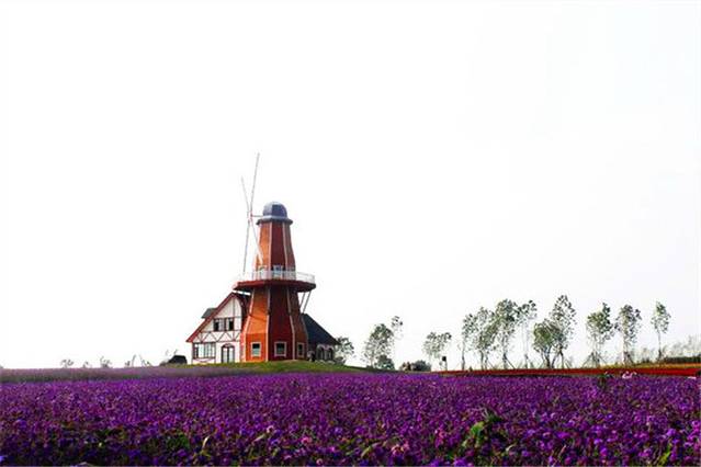 普罗旺斯薰衣草庄园