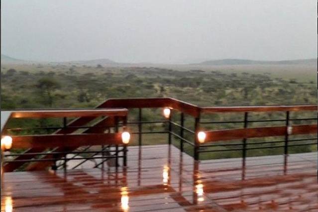 Seronera Wildlife Lodge 观景台
