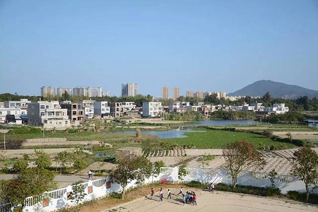 湖尾村