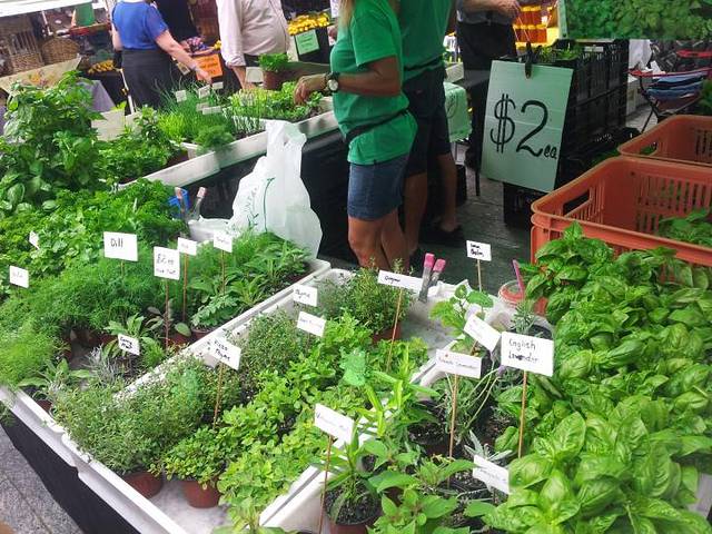 Jan Power's Brisbane City Market