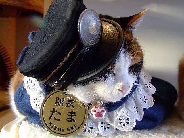 贵志（和歌山）