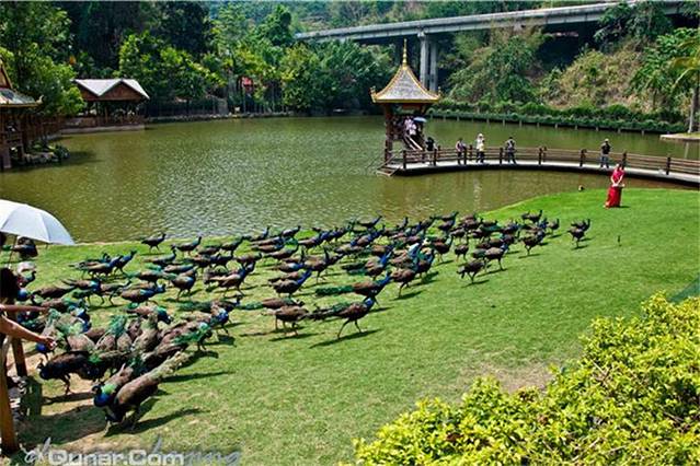 西双版纳直通车