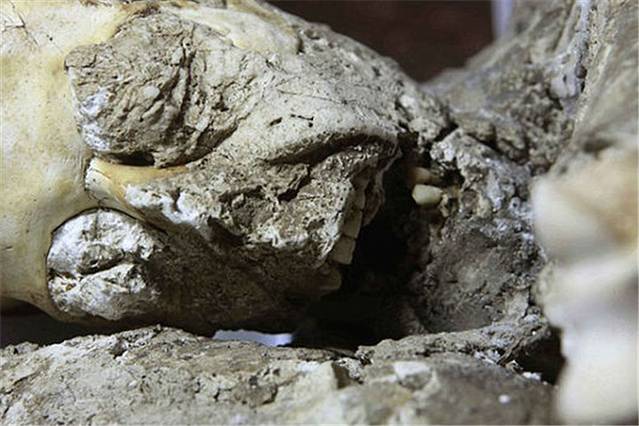 庞贝陶罐及末日遗骸者陈列室