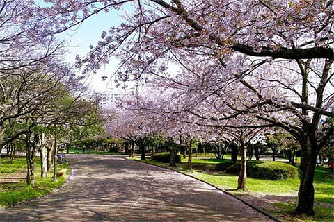 新山近邻公园