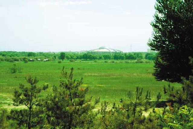 赛汗塔拉城中草原