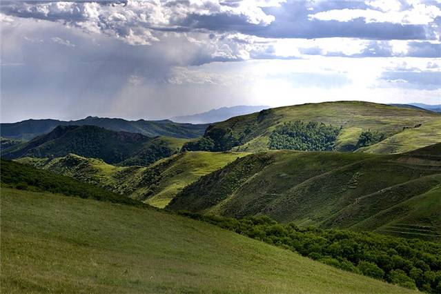 呼伦贝尔大青山