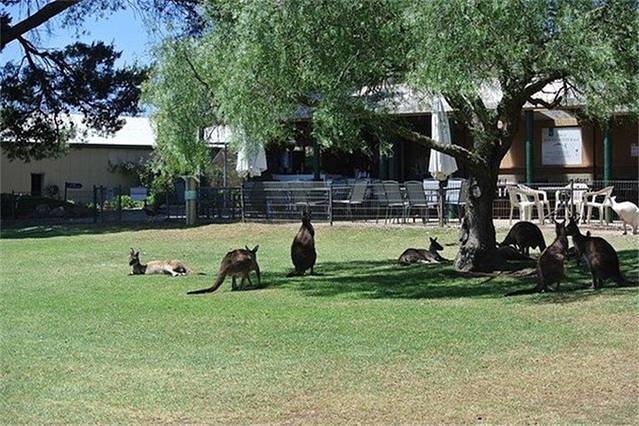 Glen Forest动物园