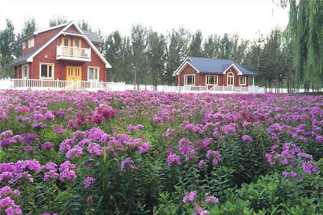 北京梦幻紫海香草庄园