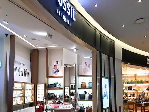 fossil(东京divercity tokyo plaza店)