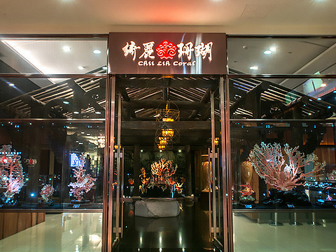 绮丽珊瑚(101购物中心5f店)