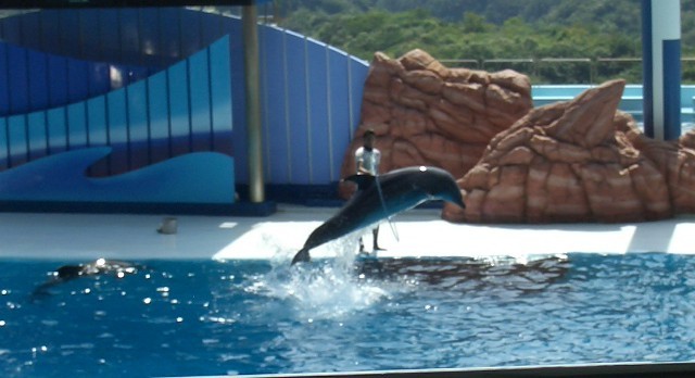 南紀白浜アドベンチャーワールド