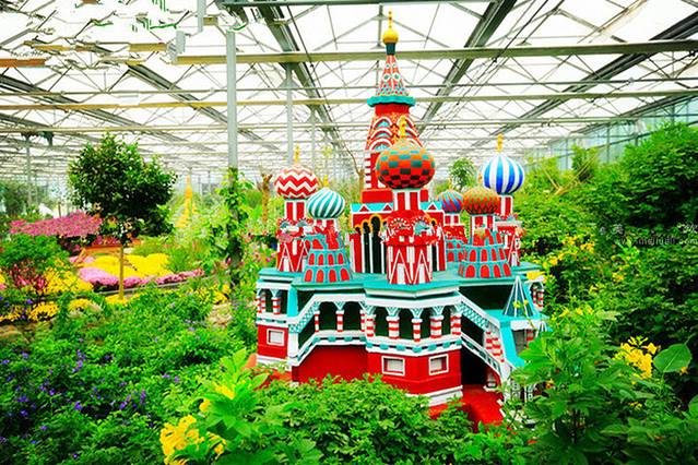 南宫五洲植物乐园