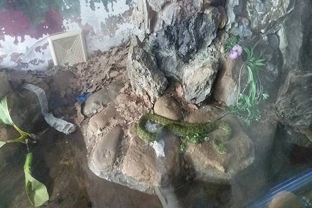 莽山自然博物馆