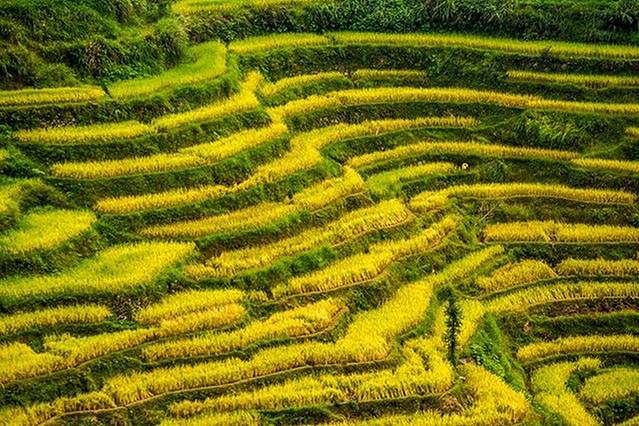 永春梯田