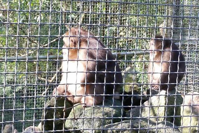 莽山自然博物馆