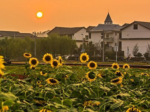 2024三合古村-旅游攻略-门票-地址-问答-游记点评,郴州旅游旅游景点