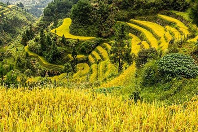 永春梯田