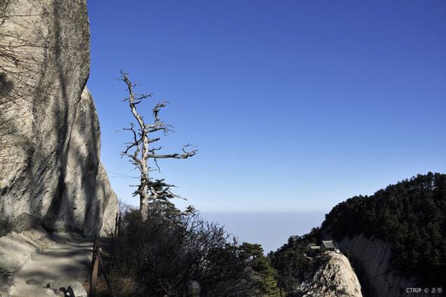 华山风景名胜区-避诏崖