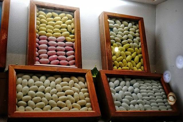 蚕桑丝绸生态博物馆