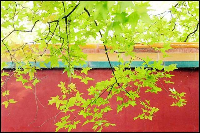 北海公园阐福寺