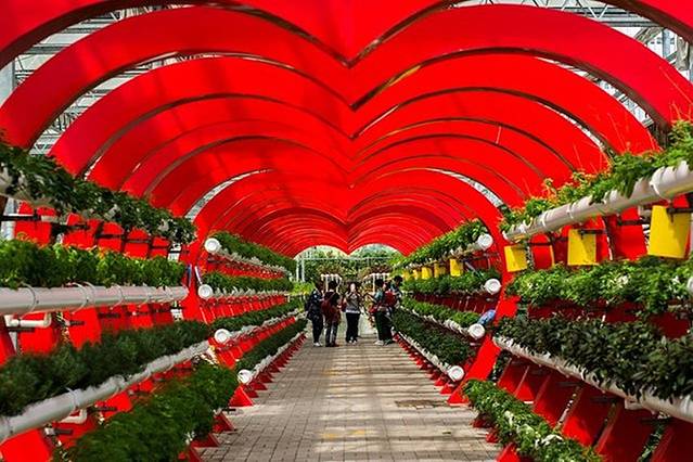 中国现代农业技术展示馆