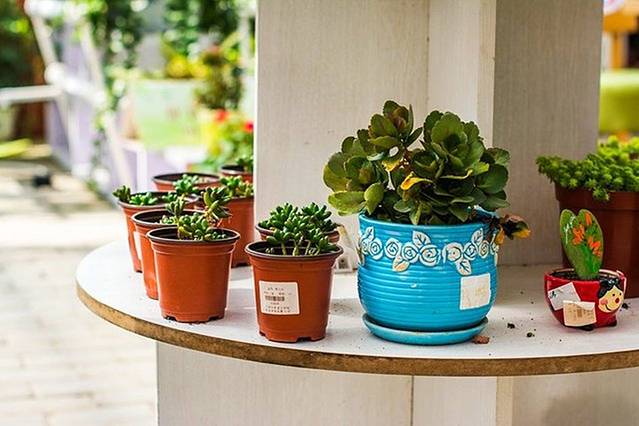 中国现代农业技术展示馆