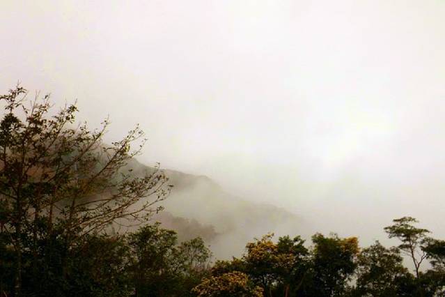 云盖山森林公园