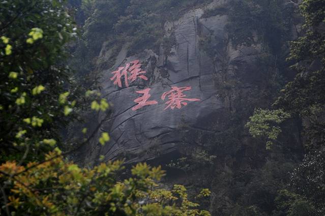 莽山猴王寨景区