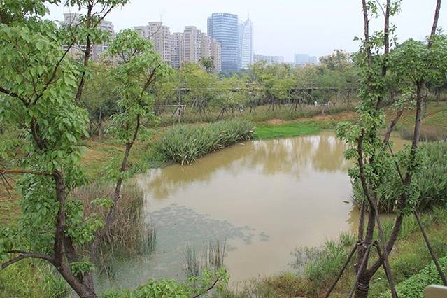 衢州鹿鸣山公园