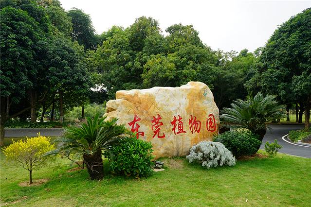东莞植物园