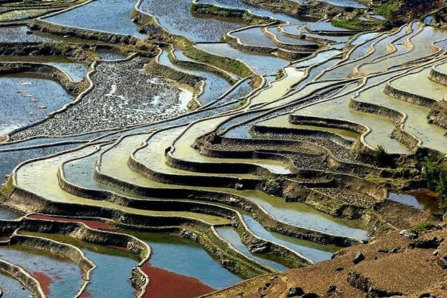 黄草岭梯田景区