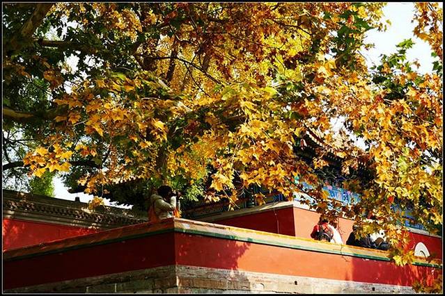 北海公园阐福寺