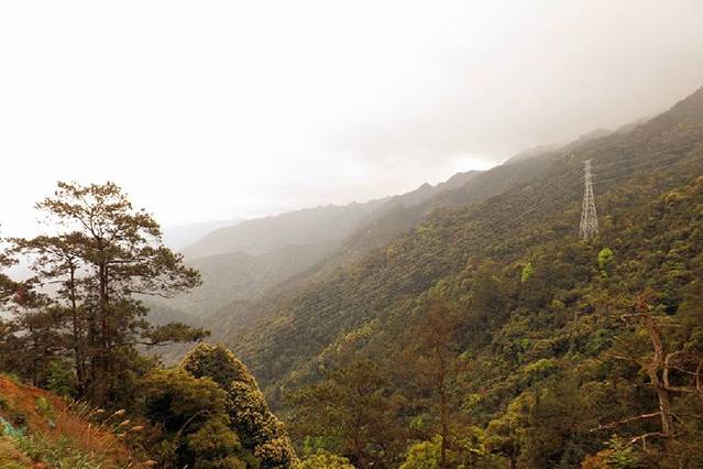 云盖山森林公园