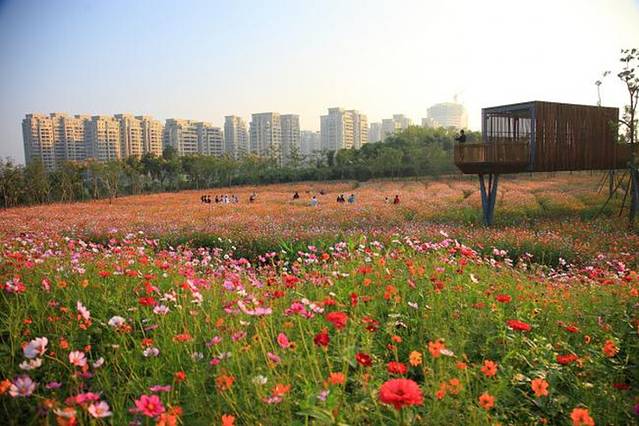 衢州鹿鸣山公园