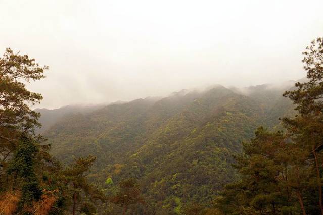 云盖山森林公园