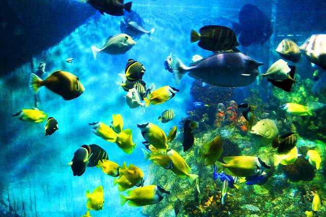 罗源湾海洋世界