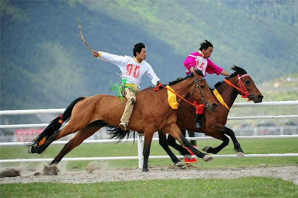 来迪庆必做的事