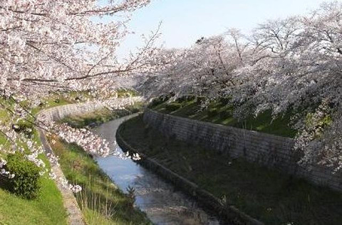 山崎川